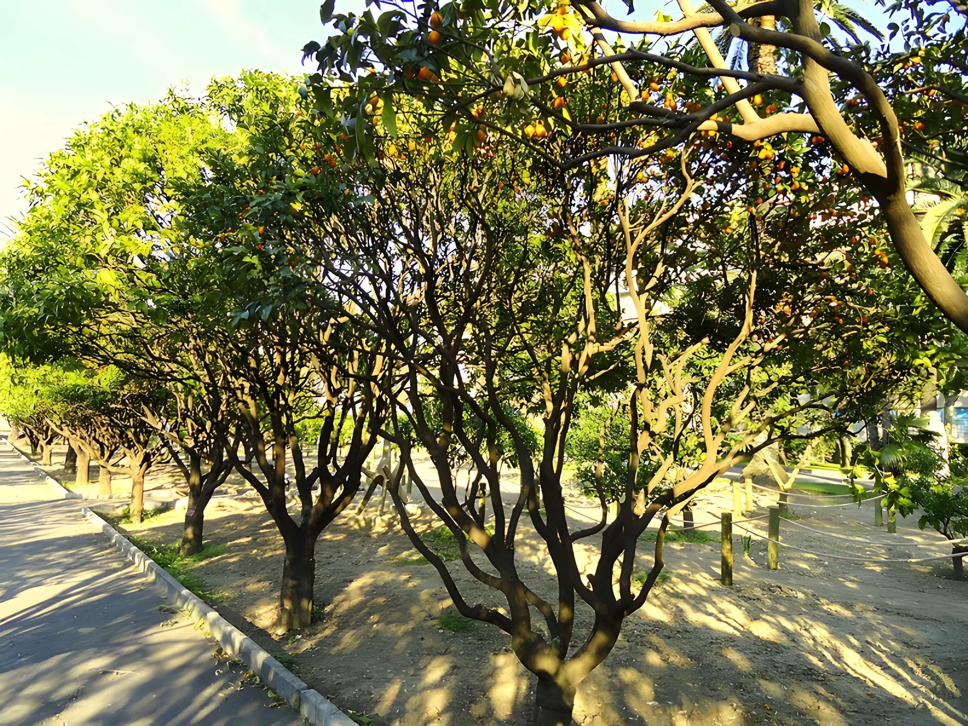 Palais Carnolès de Menton