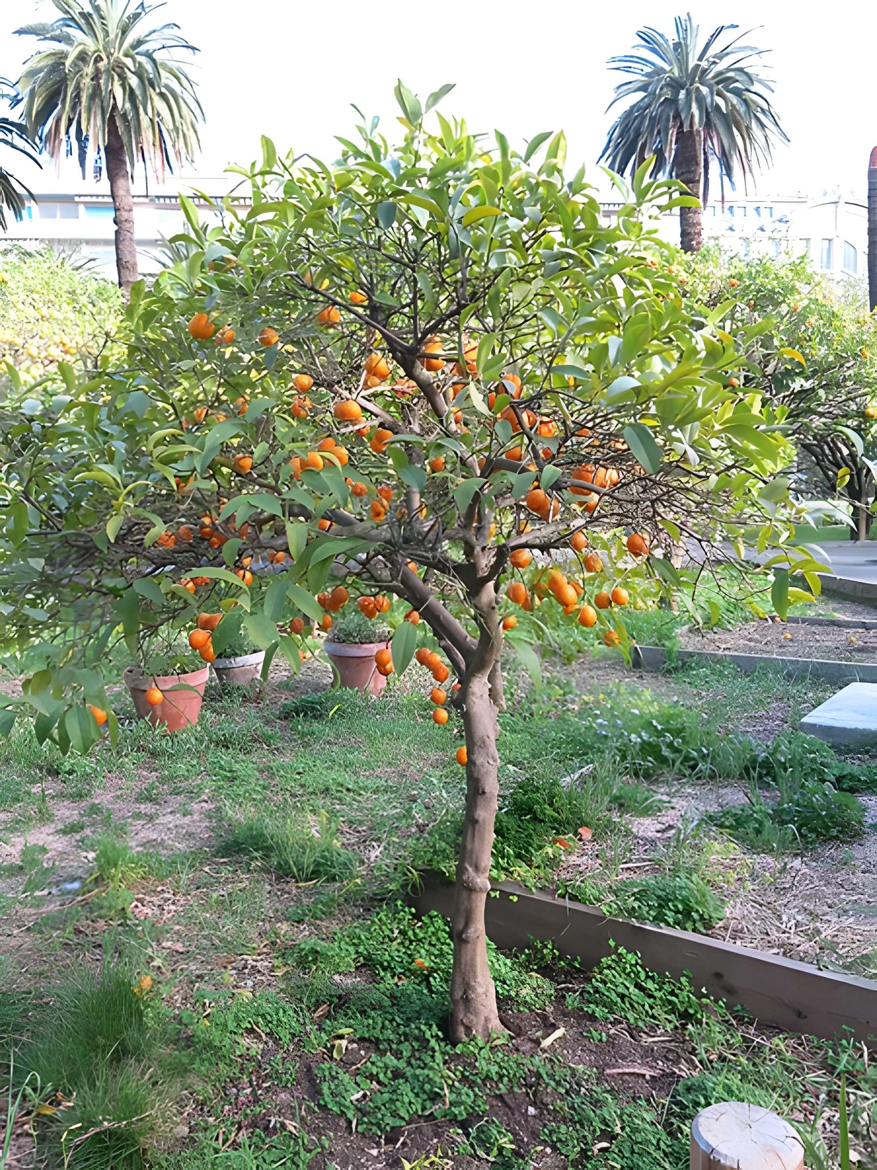 Palais Carnolès de Menton