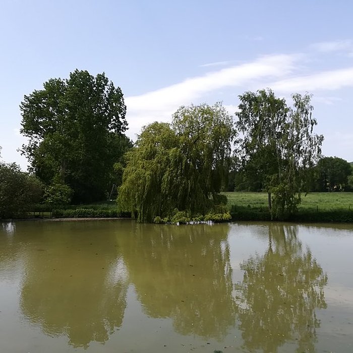 Photo de Château dOlhain