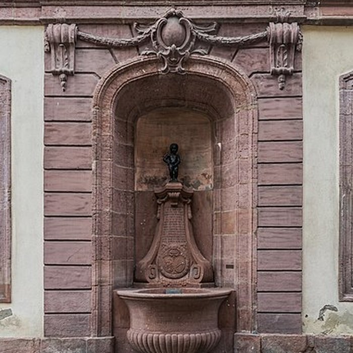 Photo de Palais du Conseil souverain dAlsace de Colmar