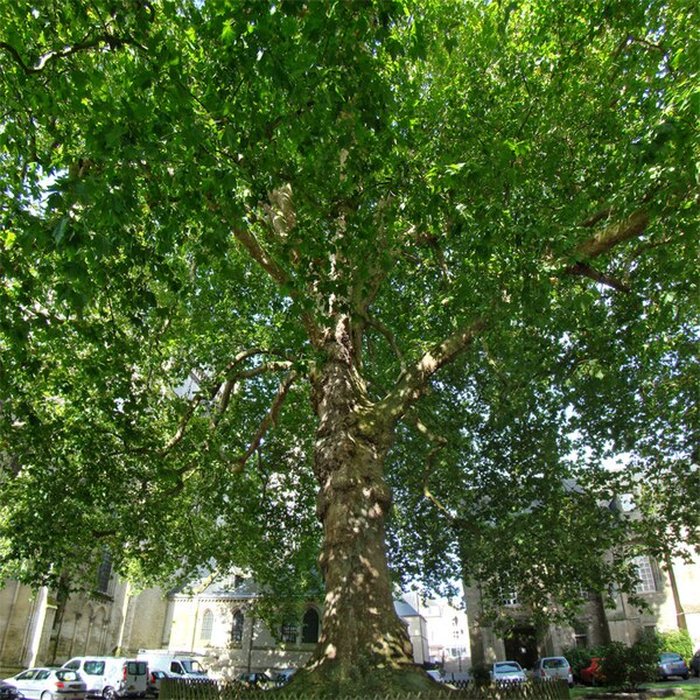Photo de Palais épiscopal de Bayeux