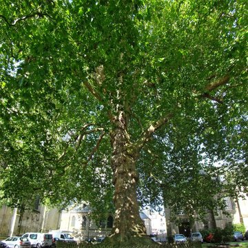 Palais épiscopal de Bayeux