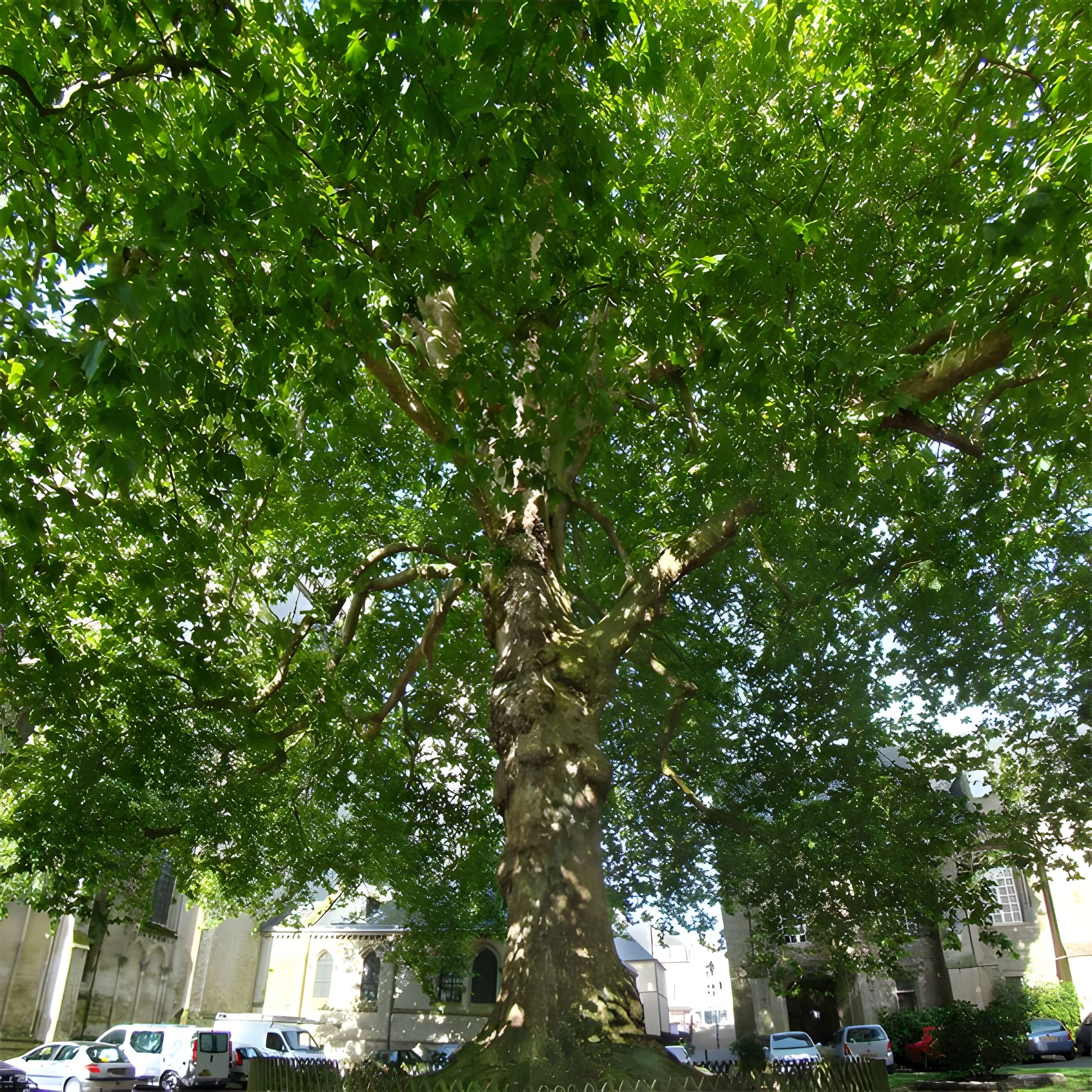 Palais épiscopal de Bayeux