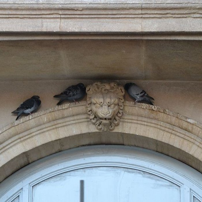 Photo de Palais épiscopal de Carpentras