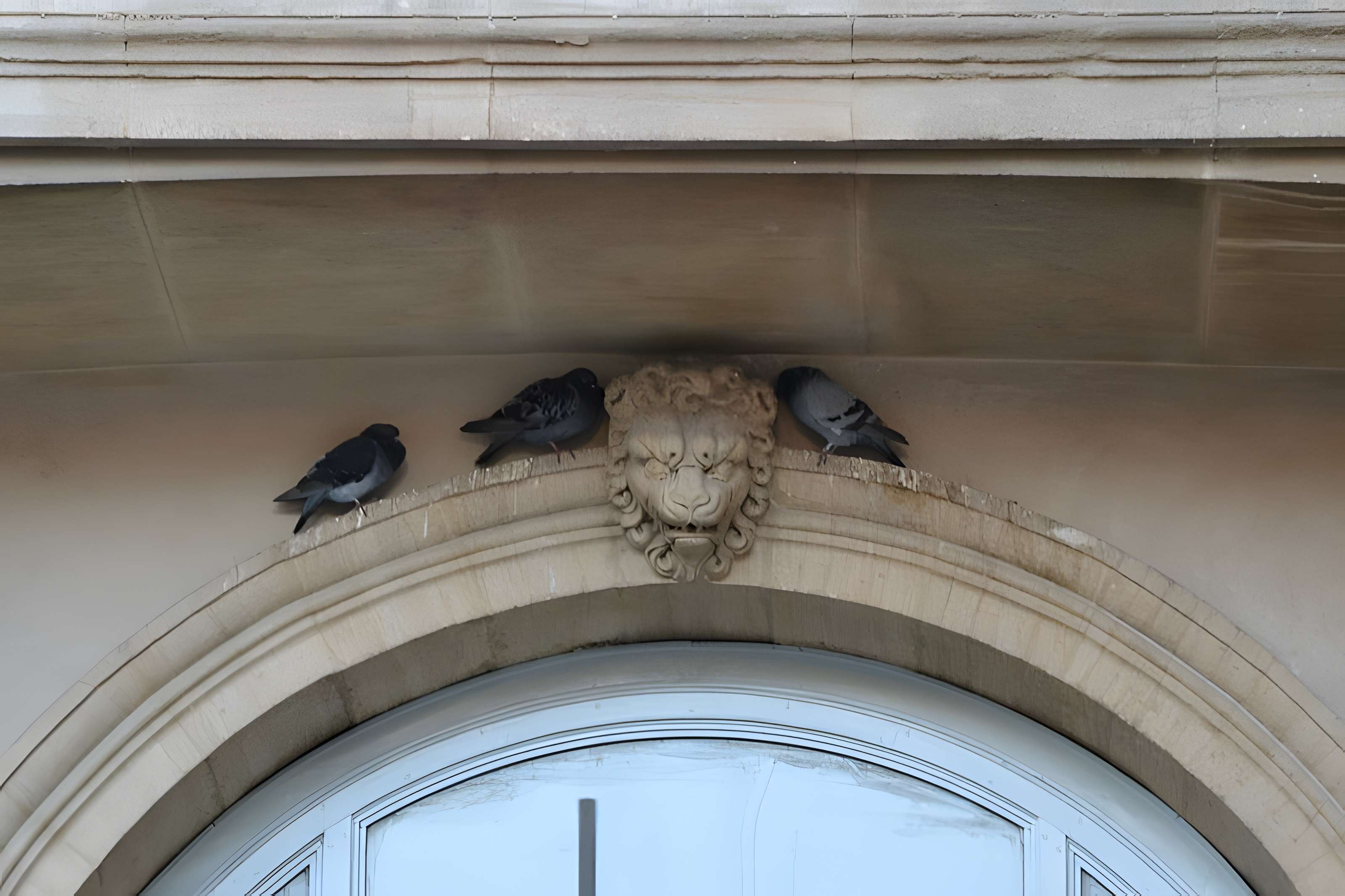 Palais épiscopal de Carpentras
