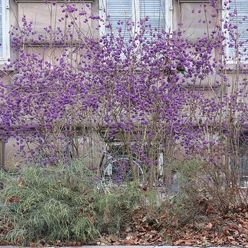 Palais universitaire de Strasbourg