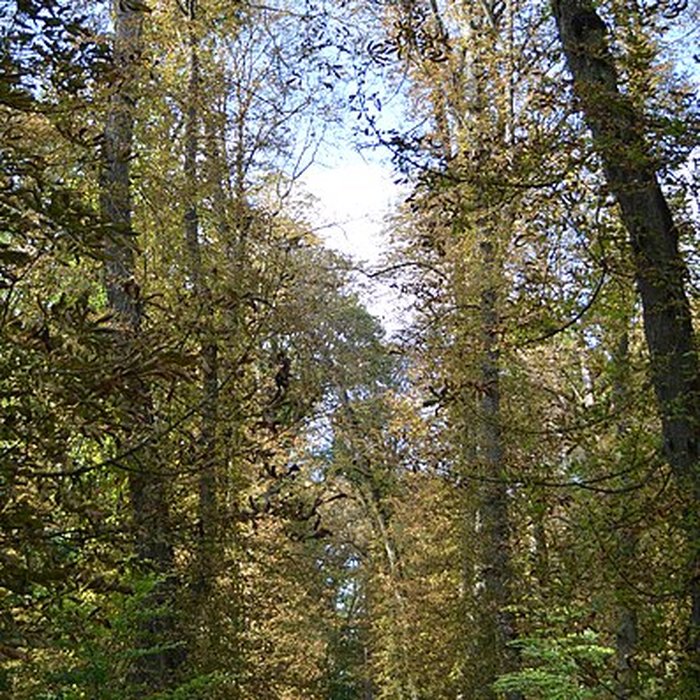 Photo de Parc de la Colombière de Dijon
