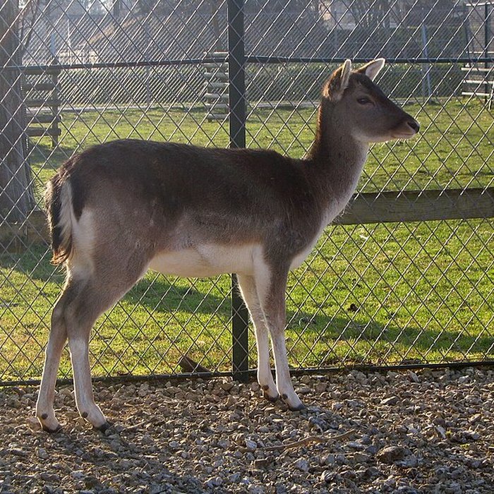 Photo de Parc de la Colombière de Dijon