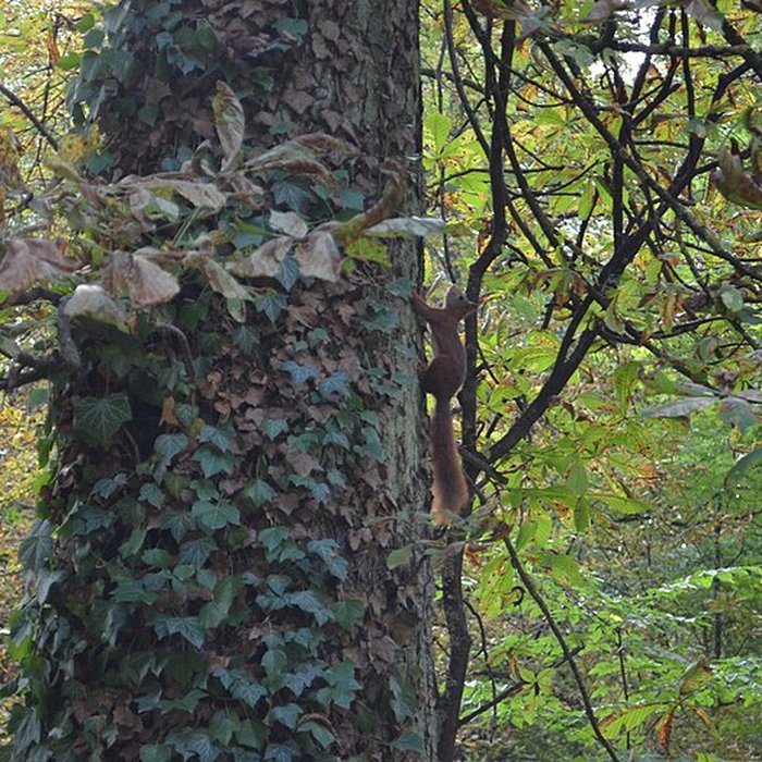 Photo de Parc de la Colombière de Dijon