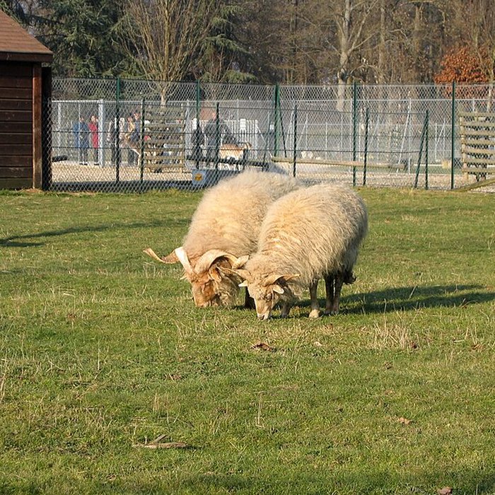 Photo de Parc de la Colombière de Dijon