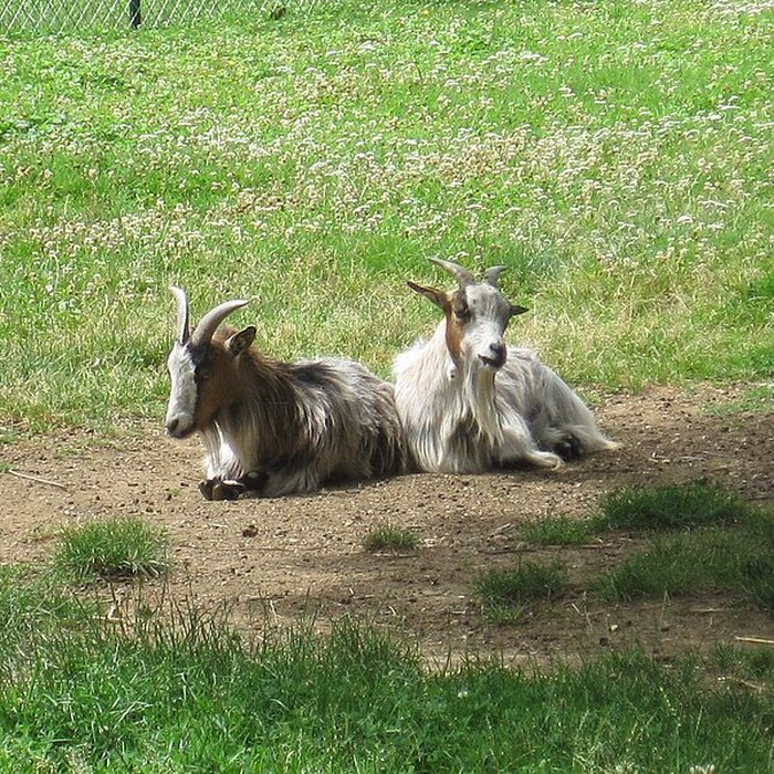 Photo de Parc de la Colombière de Dijon