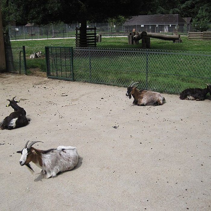 Photo de Parc de la Colombière de Dijon