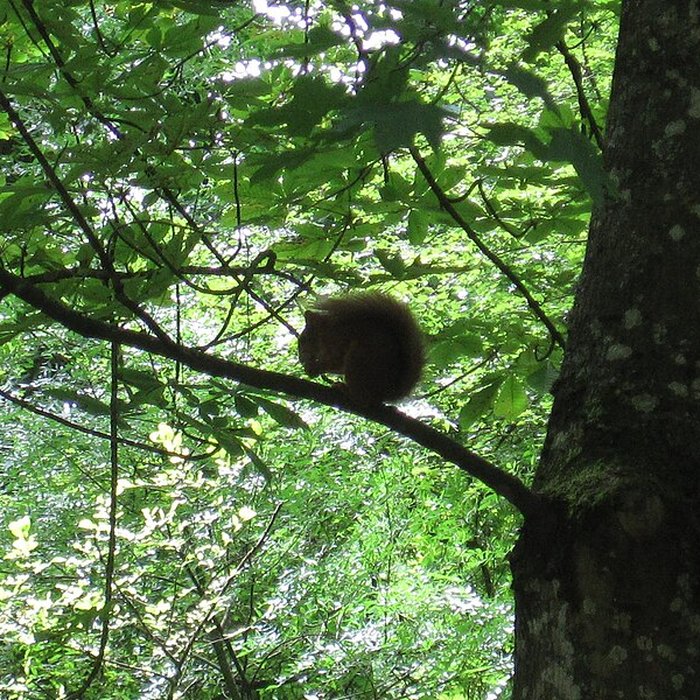 Photo de Parc de la Colombière de Dijon