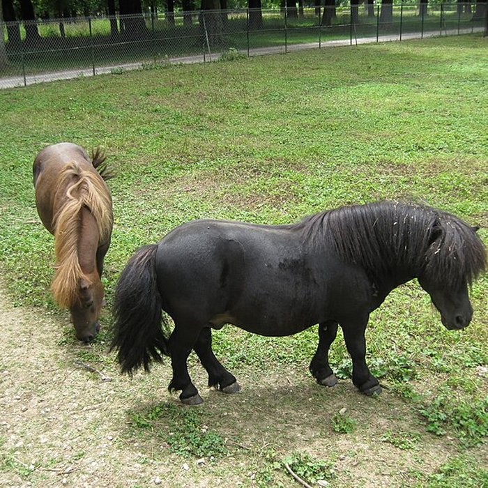 Photo de Parc de la Colombière de Dijon