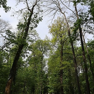 Parc de la Colombière de Dijon