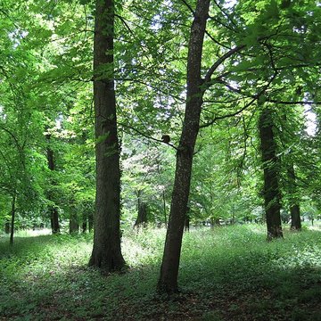 Parc de la Colombière de Dijon