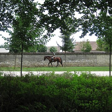 Parc de la Colombière de Dijon