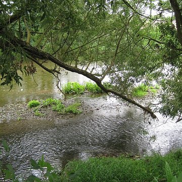 Parc de la Colombière de Dijon