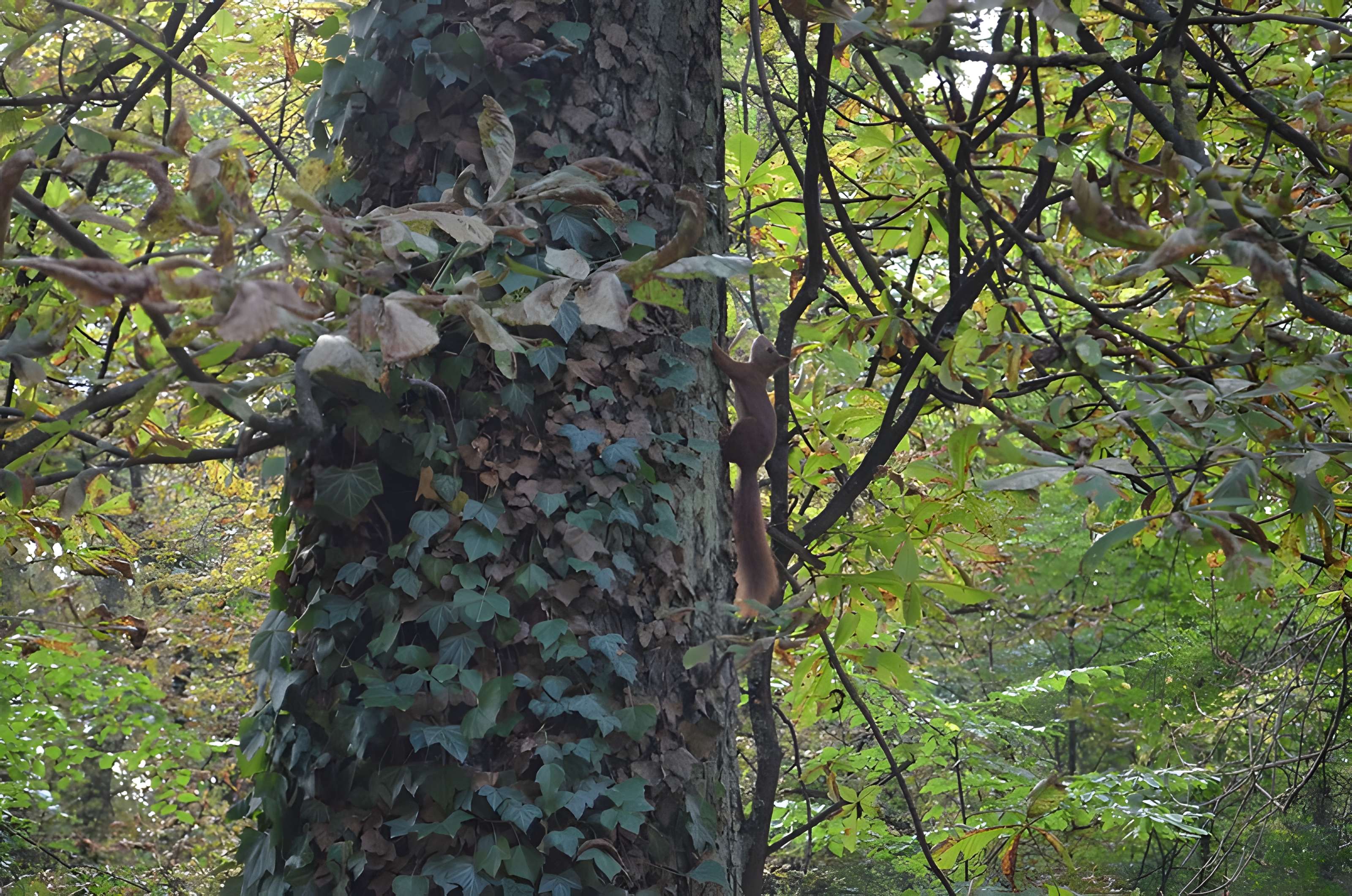 Parc de la Colombière de Dijon