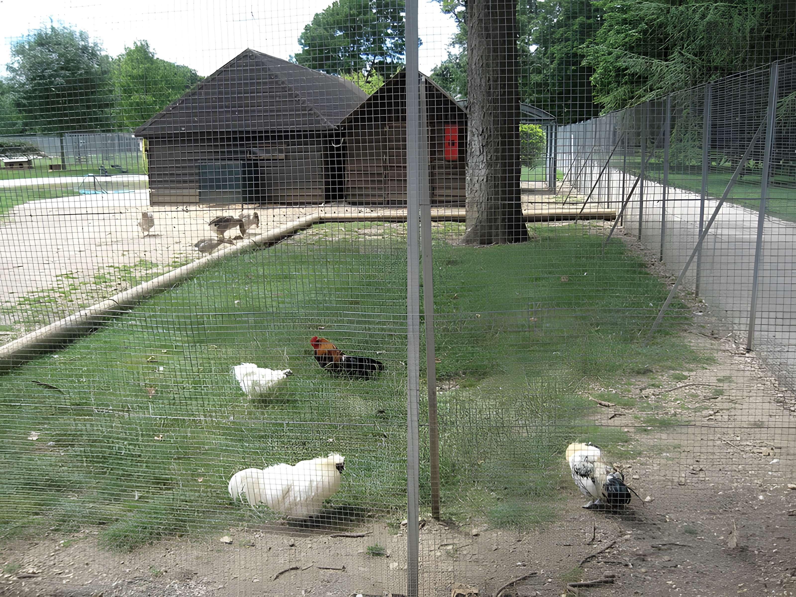 Parc de la Colombière de Dijon