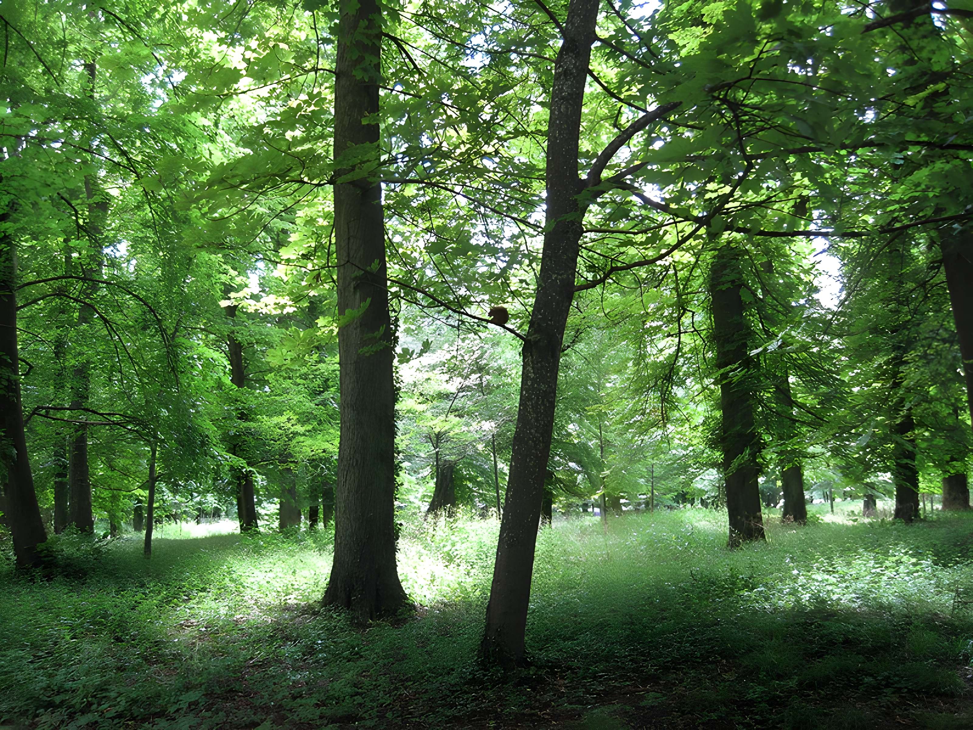 Parc de la Colombière de Dijon