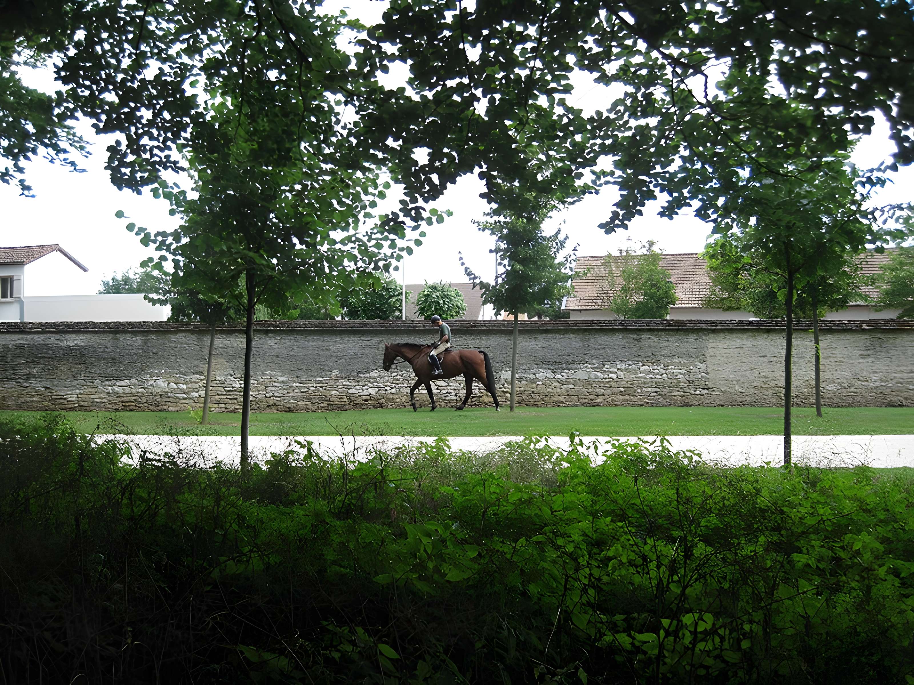 Parc de la Colombière de Dijon