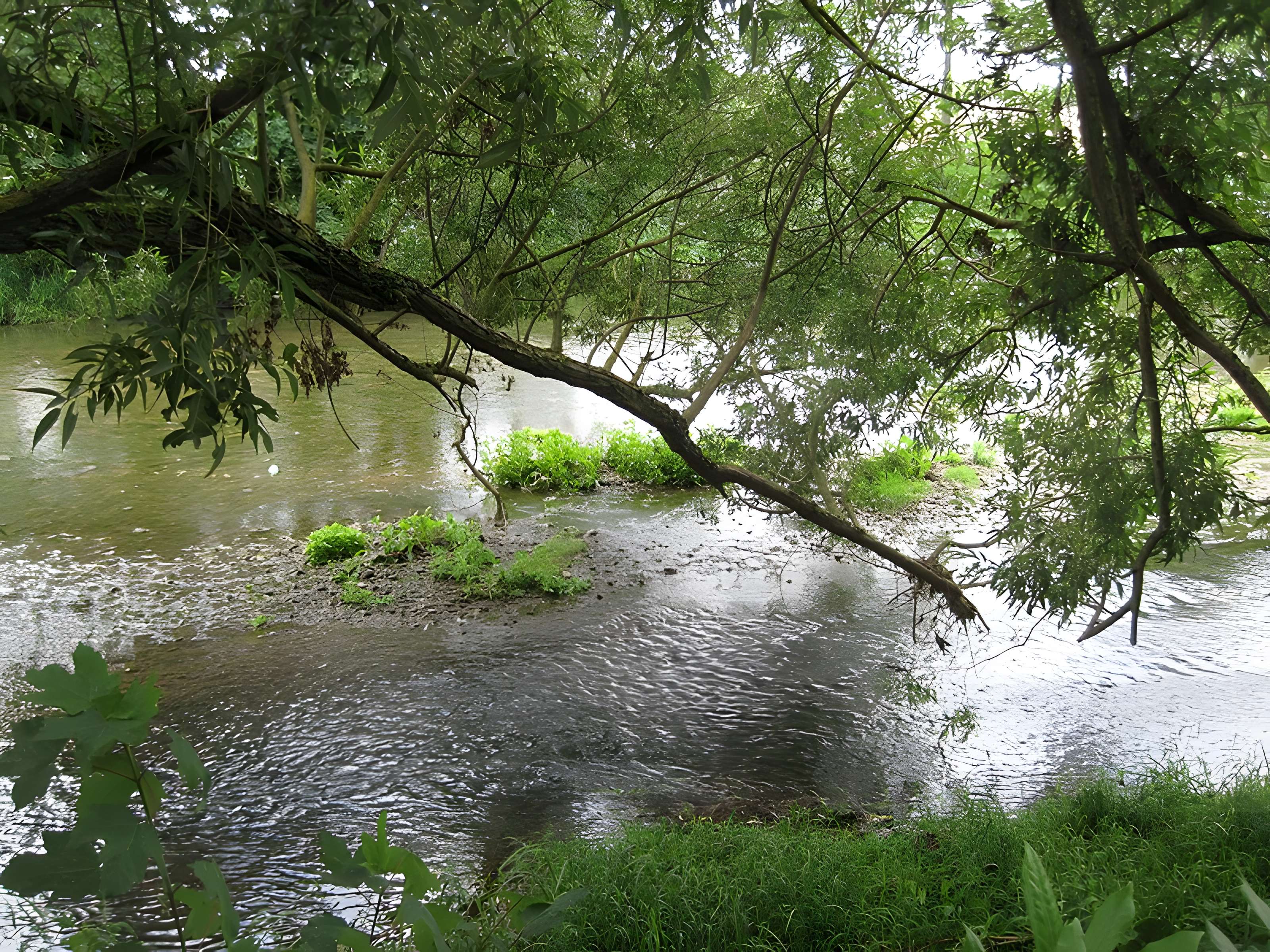 Parc de la Colombière de Dijon