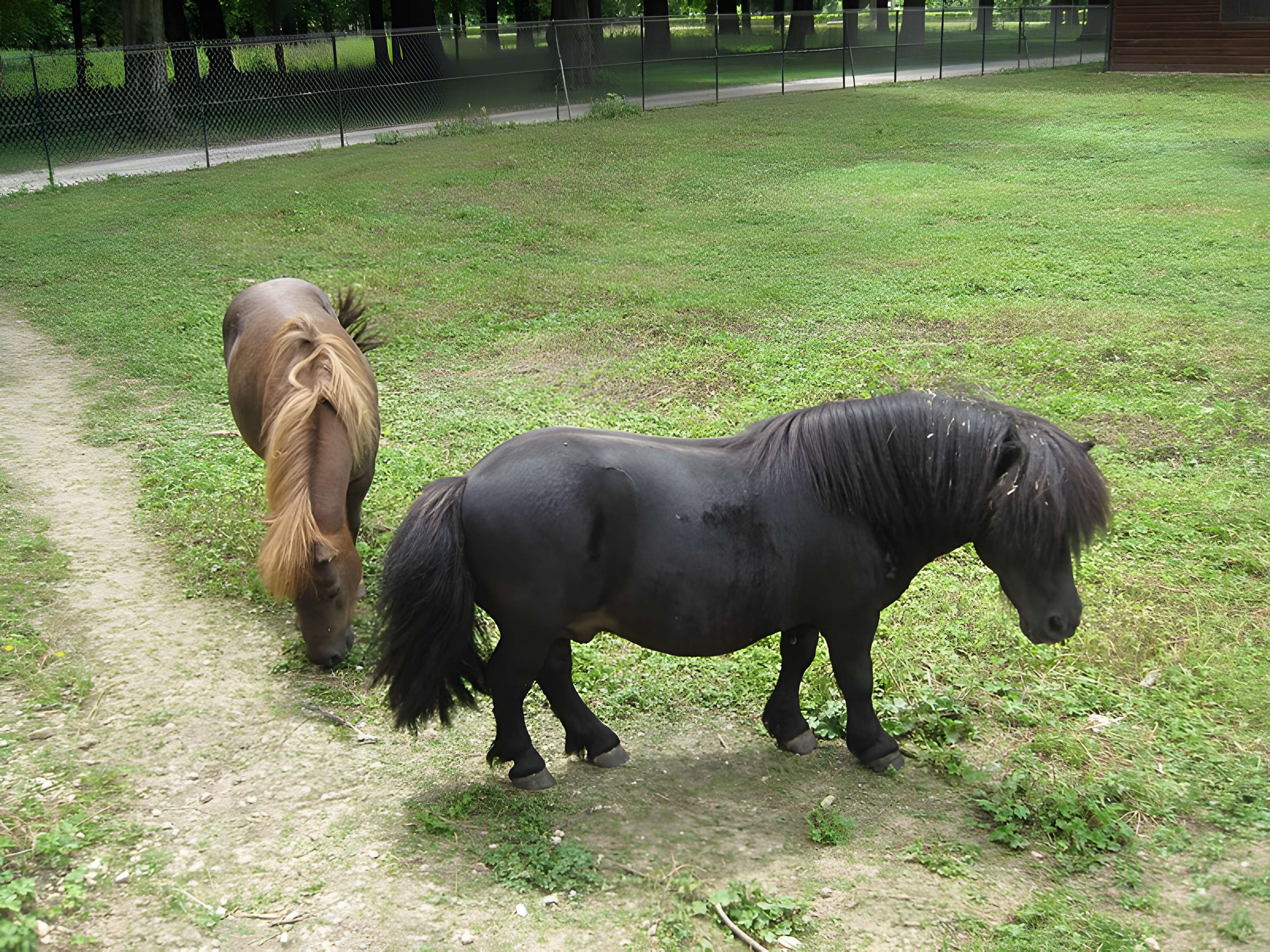 Parc de la Colombière de Dijon