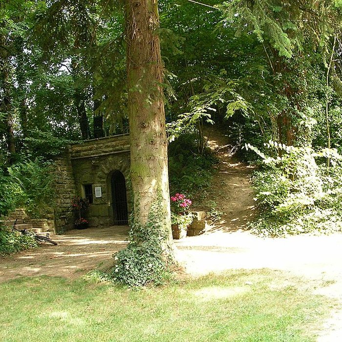 Photo de Parc de Reinach à Hirtzbach