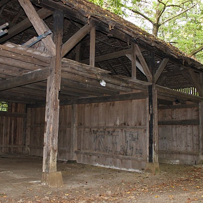 Photo de Parc de Reinach à Hirtzbach