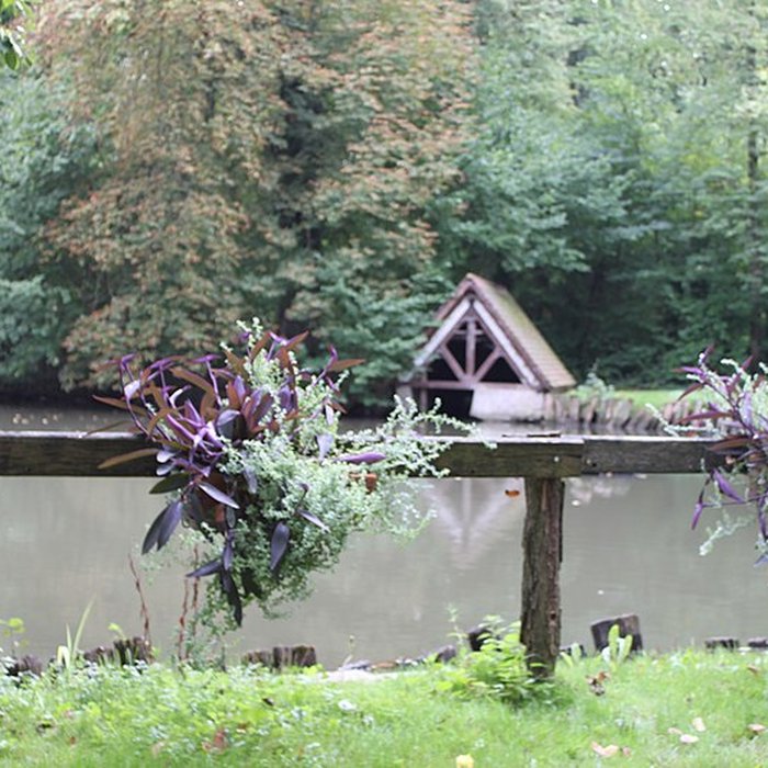 Photo de Parc de Reinach à Hirtzbach