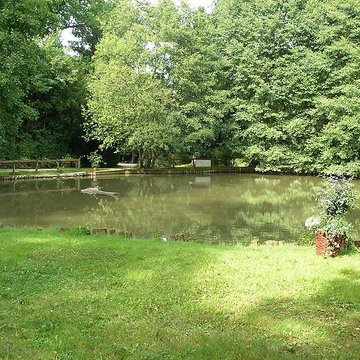 Parc de Reinach à Hirtzbach