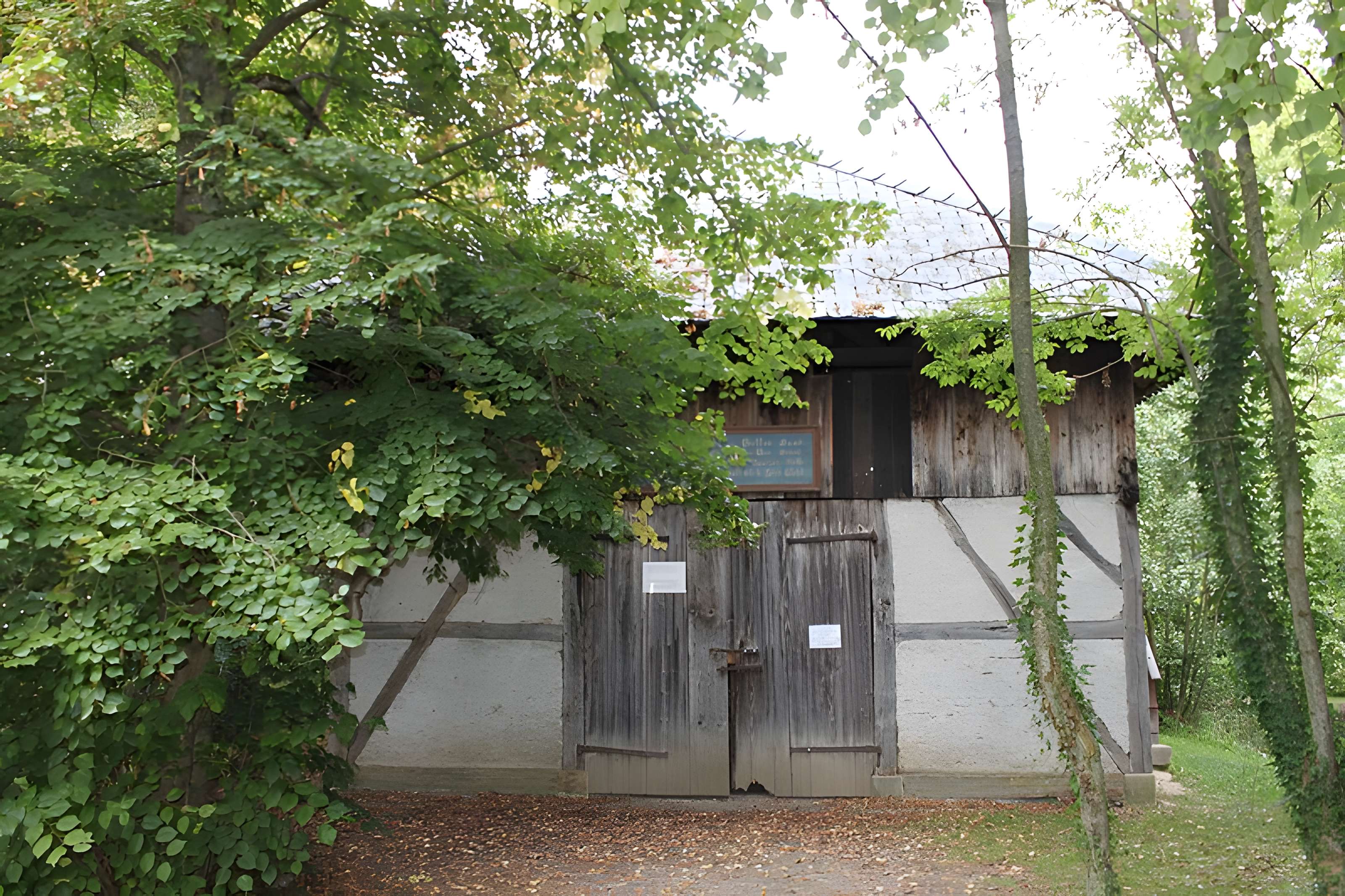 Parc de Reinach à Hirtzbach