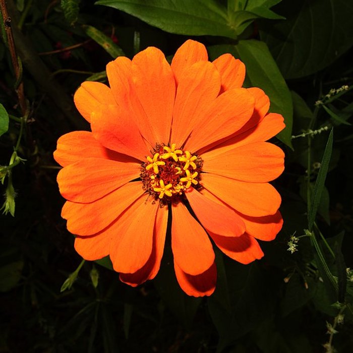 Photo de Parc de Wesserling