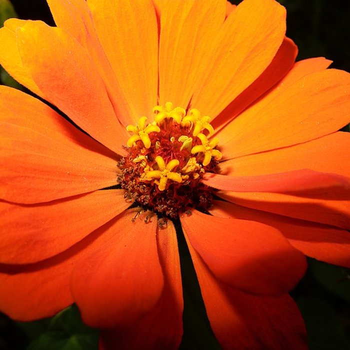 Photo de Parc de Wesserling