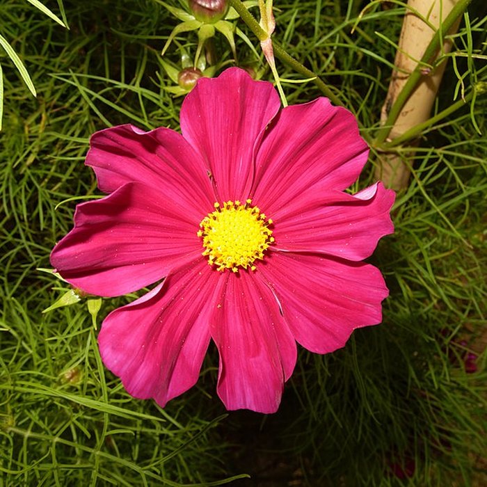 Photo de Parc de Wesserling