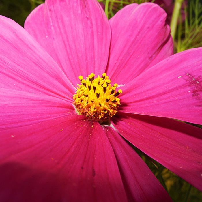 Photo de Parc de Wesserling