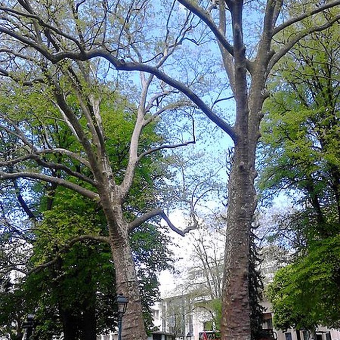 Photo de Parc floral des Thermes à Aix-les-Bains