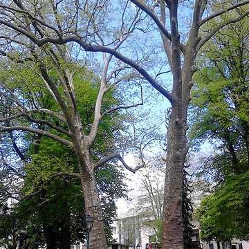 Parc floral des Thermes à Aix-les-Bains