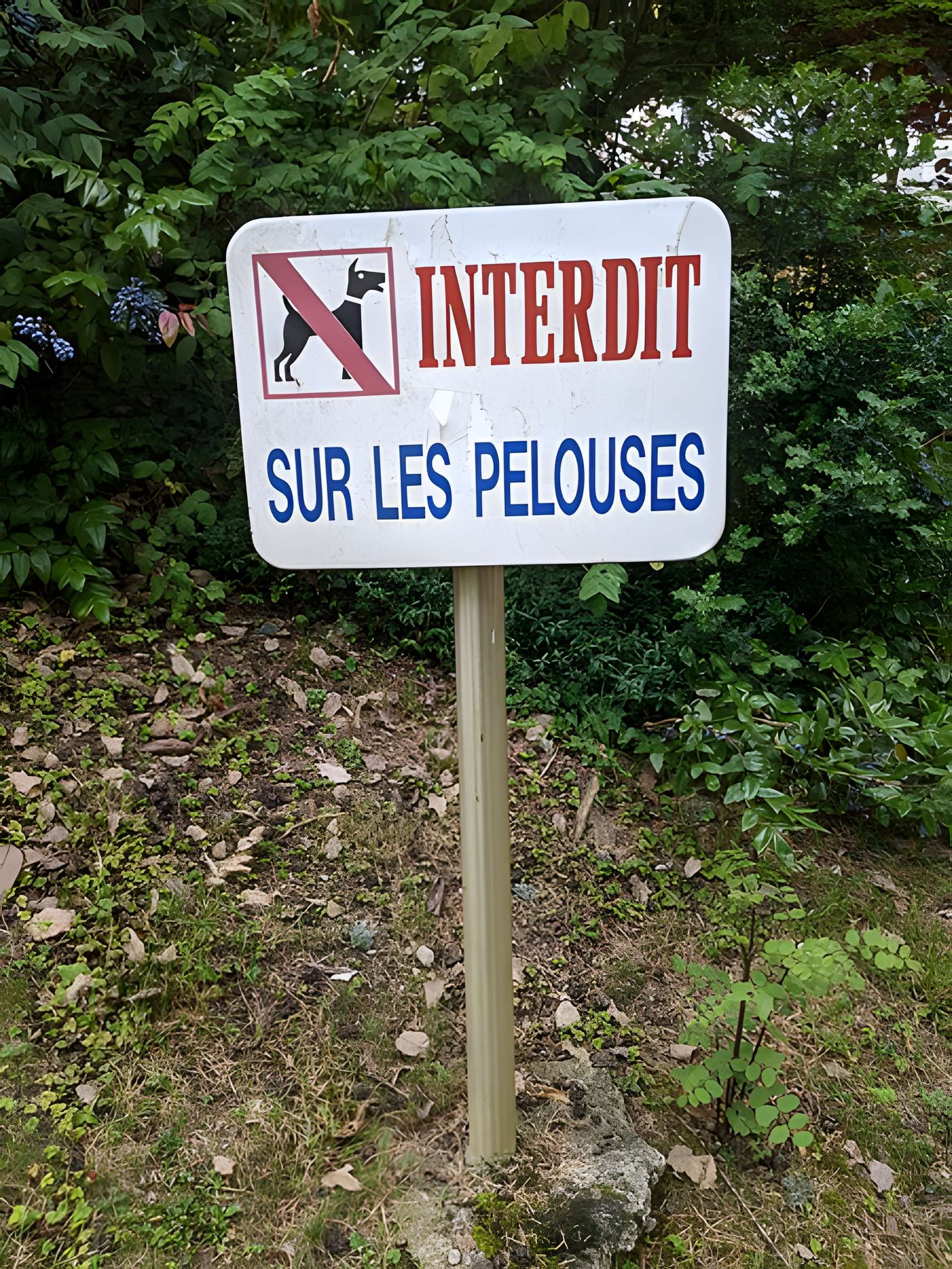 Parc floral des Thermes à Aix-les-Bains