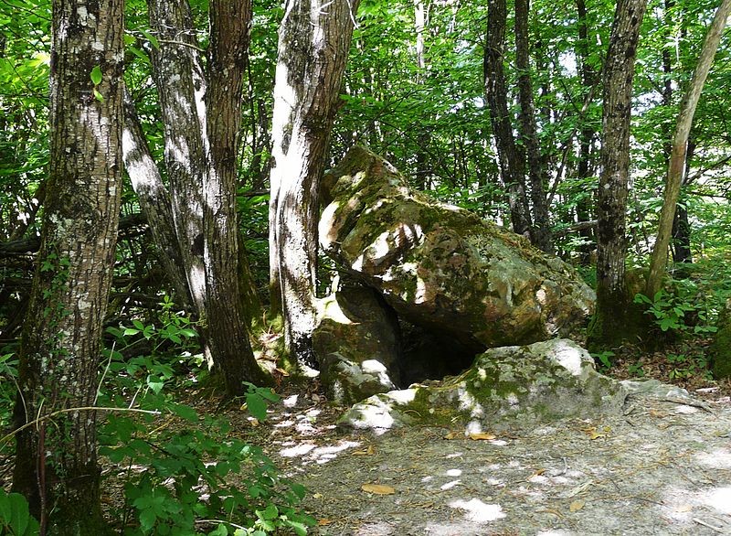 Photo de Peyre-Brune de Saint-Aquilin