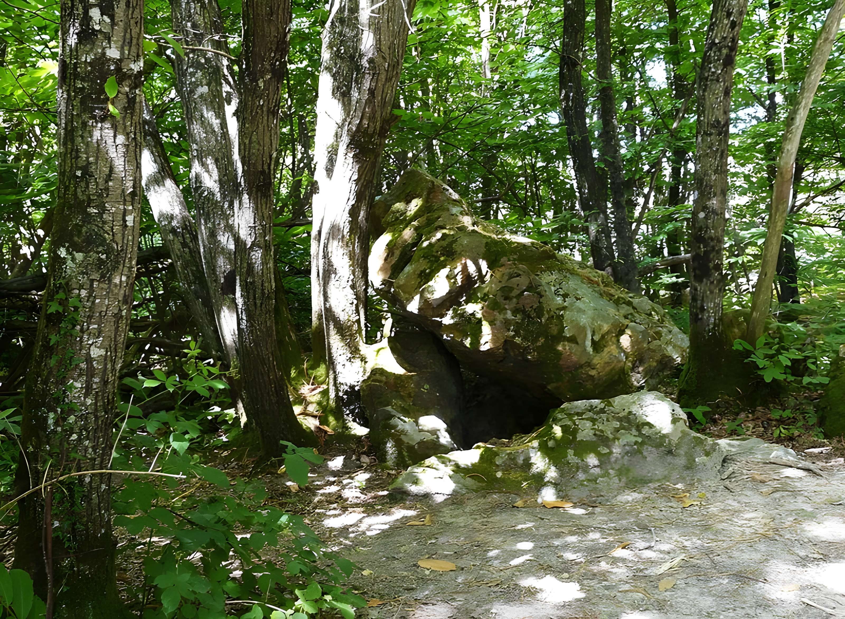 Peyre-Brune de Saint-Aquilin 