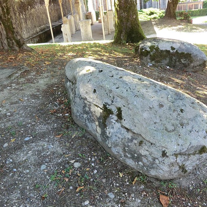 Photo de Pierre à cupules de Magnieu à Belley