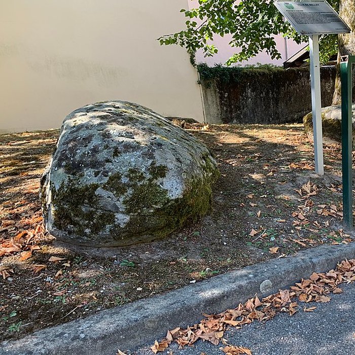 Photo de Pierre à cupules de Magnieu à Belley