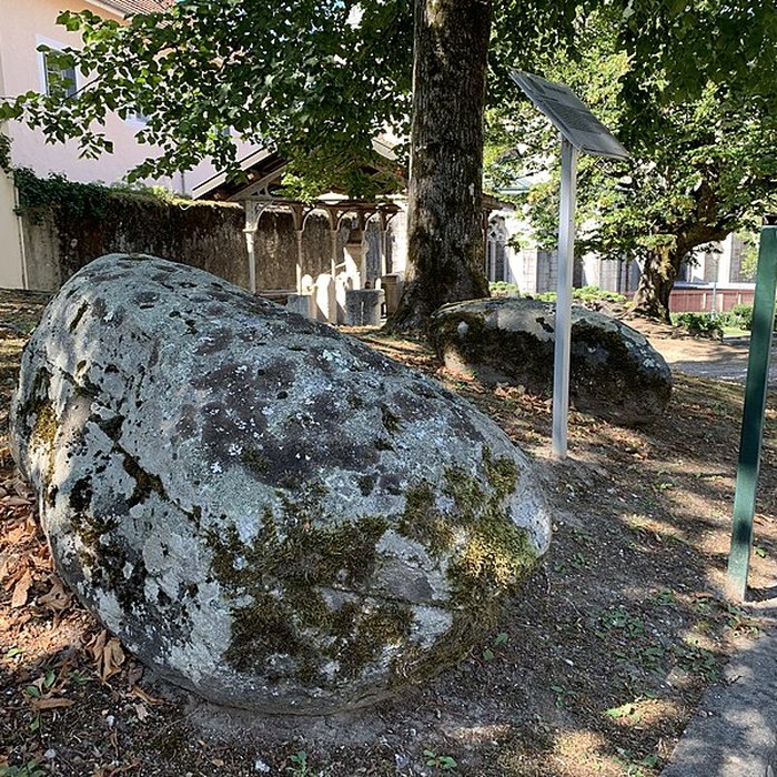 Photo de Pierre à cupules de Magnieu à Belley