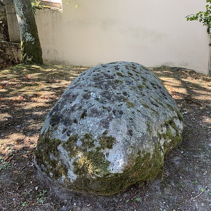 Photo de Pierre à cupules de Magnieu à Belley