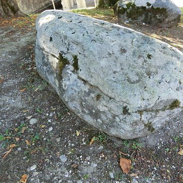 Pierre à cupules de Magnieu à Belley