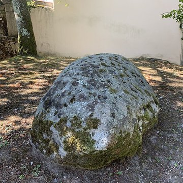 Pierre à cupules de Magnieu à Belley