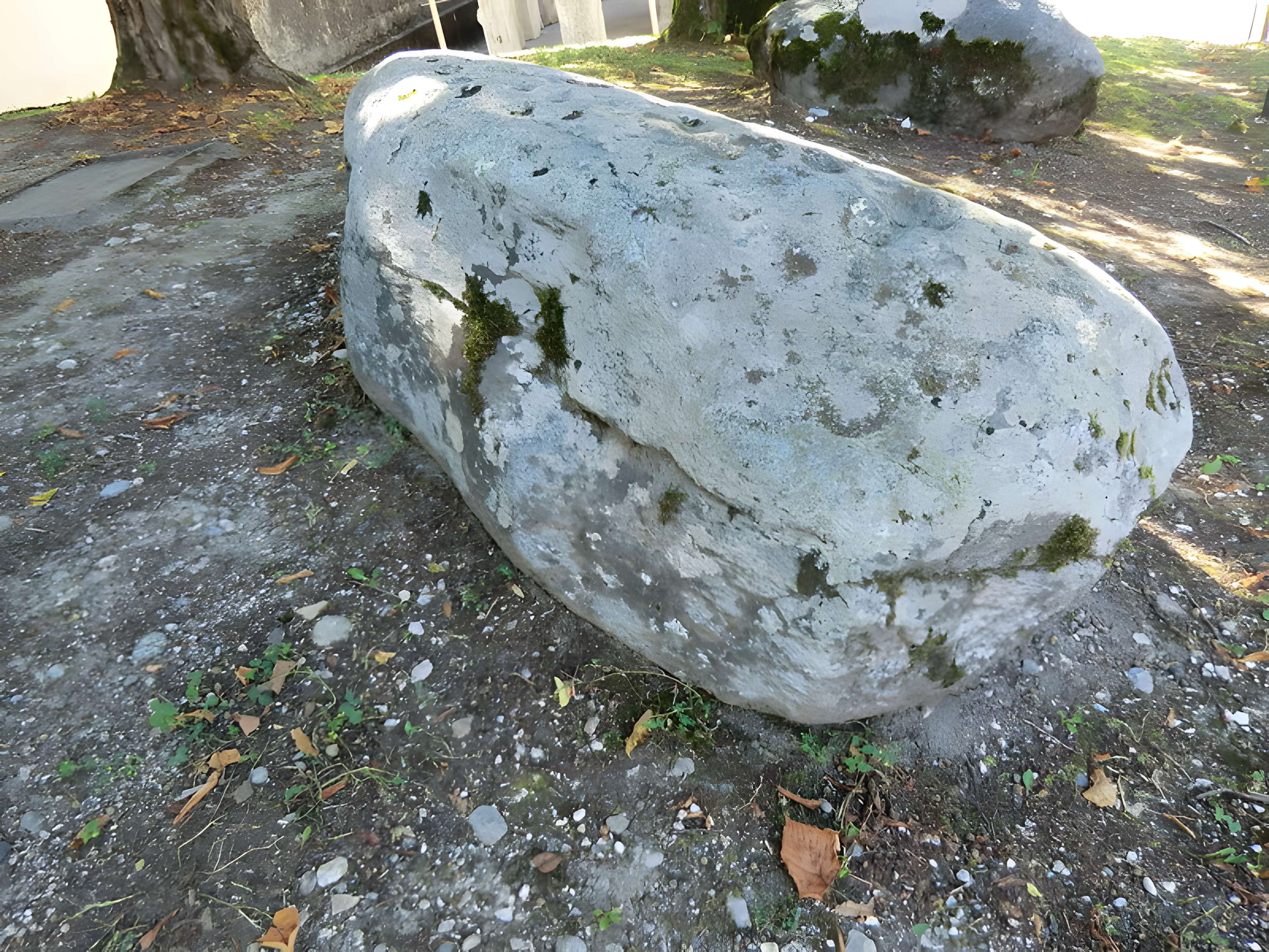 Pierre à cupules de Magnieu à Belley