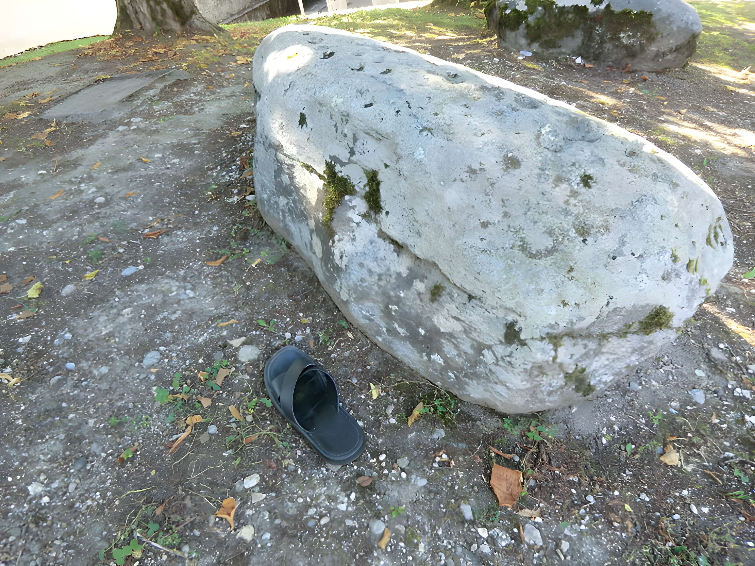 Pierre à cupules de Magnieu à Belley